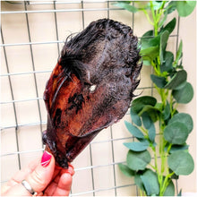 Load image into Gallery viewer, Cow Hairy Ears