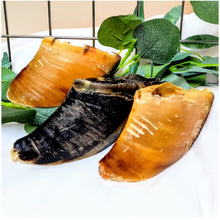 Load image into Gallery viewer, Cows Hoof