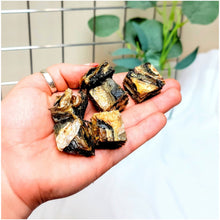 Load image into Gallery viewer, Fish Skin Cubes