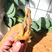 Load image into Gallery viewer, Lamb Ears With Hair