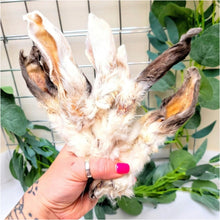 Load image into Gallery viewer, Rabbit Ear Furry