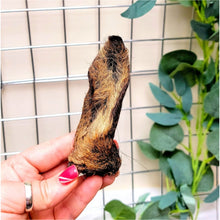 Load image into Gallery viewer, Venison Hairy Ears Small