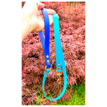 Load image into Gallery viewer, Peacock