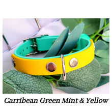 Load image into Gallery viewer, Two Tone Waterproof Collars - More Colours Available!
