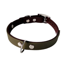 Load image into Gallery viewer, Forrest Fern