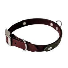 Load image into Gallery viewer, Forrest Fern