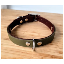 Load image into Gallery viewer, Forrest Fern