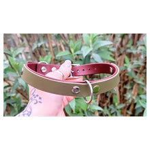 Load image into Gallery viewer, Forrest Fern