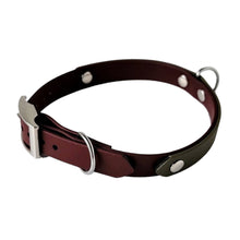 Load image into Gallery viewer, Country Walk