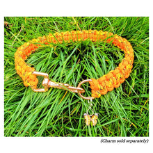 Load image into Gallery viewer, Tigger Orange