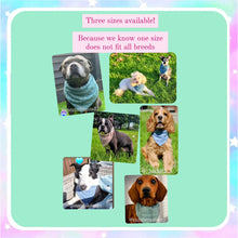 Load image into Gallery viewer, Cooling Bandanas Teal