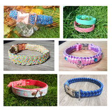 Load image into Gallery viewer, Surprise Collars!