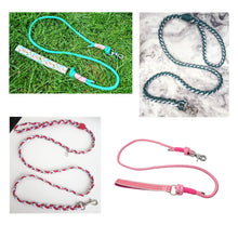 Load image into Gallery viewer, Surprise Leads!