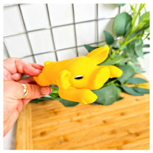 Load image into Gallery viewer, Piggy