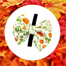 Load image into Gallery viewer, Pumpkin Patch Bow Ties