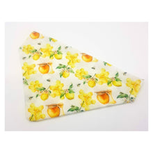 Load image into Gallery viewer, Surprise Bandanas!