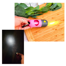 Load image into Gallery viewer, Poop Bag Holder With LED Torch