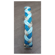 Load image into Gallery viewer, Ice Ice Baby