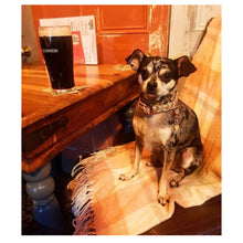 Load image into Gallery viewer, Pumpkin Spice