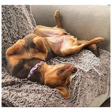 Load image into Gallery viewer, Unicorn