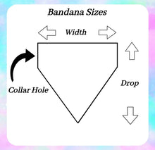 Load image into Gallery viewer, Zig Zag