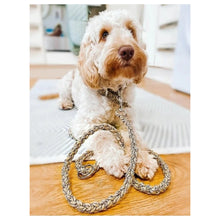 Load image into Gallery viewer, Braided Round Rope Leads - More Patterns Available!