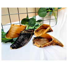 Load image into Gallery viewer, Cows Hoof