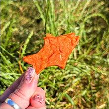 Load image into Gallery viewer, Salmon Fishy Bites