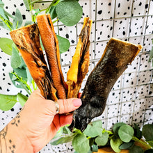 Load image into Gallery viewer, Wild Boar Skins