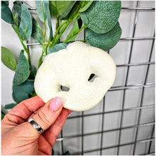 Load image into Gallery viewer, Pig Snout Puffed