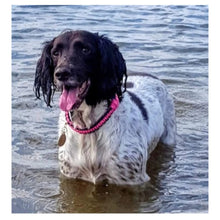 Load image into Gallery viewer, Delilah Moo