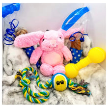 Load image into Gallery viewer, Betsy Bunny Midi Hampers