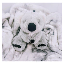 Load image into Gallery viewer, Kenny Koala Maxi Hampers