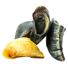 Load image into Gallery viewer, Cows Hoof