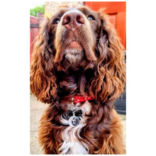 Load image into Gallery viewer, Luna Moon