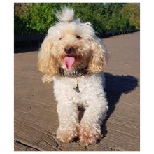 Load image into Gallery viewer, Monster Mash