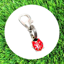 Load image into Gallery viewer, Lady Bug