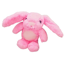 Load image into Gallery viewer, Betsy Bunny