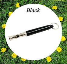 Load image into Gallery viewer, Training Whistles & Lanyards - More Colours Available!