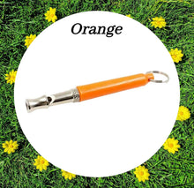 Load image into Gallery viewer, Training Whistles & Lanyards - More Colours Available!
