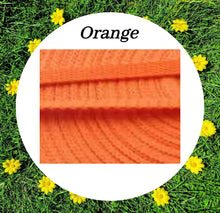 Load image into Gallery viewer, Training Lines For House & Recall- More Colours Available