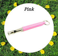 Load image into Gallery viewer, Training Whistles & Lanyards - More Colours Available!