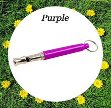 Load image into Gallery viewer, Training Whistles & Lanyards - More Colours Available!