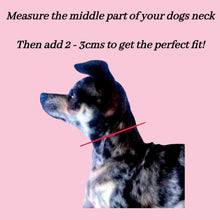 Load image into Gallery viewer, Two In One - Braided Dog Collar - All Patterns Available!
