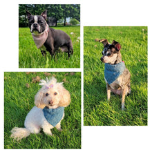 Load image into Gallery viewer, Cooling Bandanas Teal
