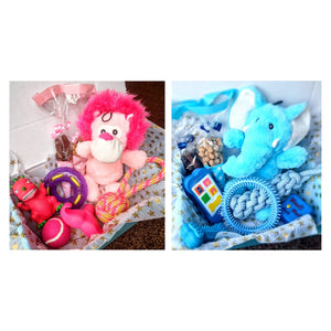 Surprise Maxi Hampers