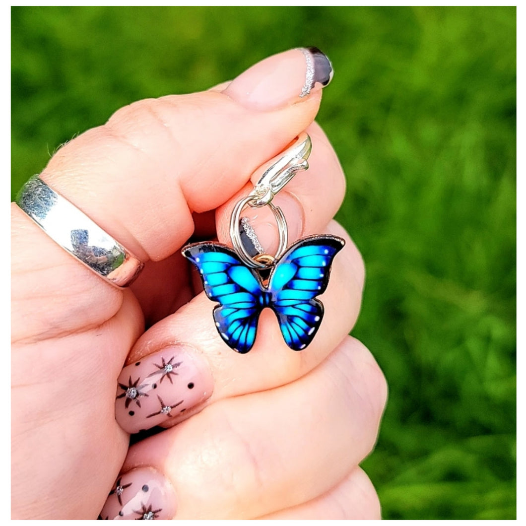 Blue Butterfly