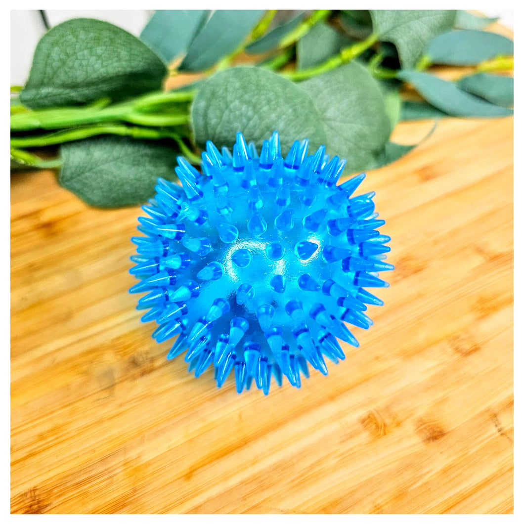 Blue Spiky Squeaky Ball