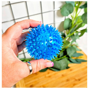 Blue Spiky Squeaky Ball