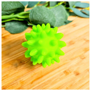 Green Spiky Squeaky Ball